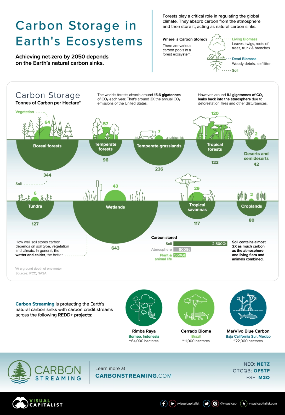 Carbon Storage in Earth’s Ecosystems