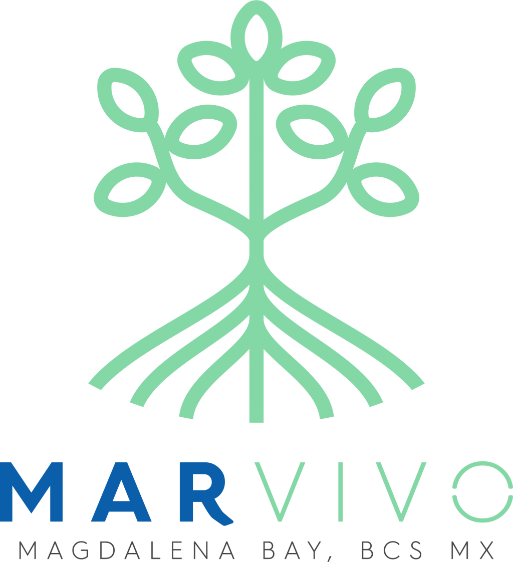 MarVivo logo