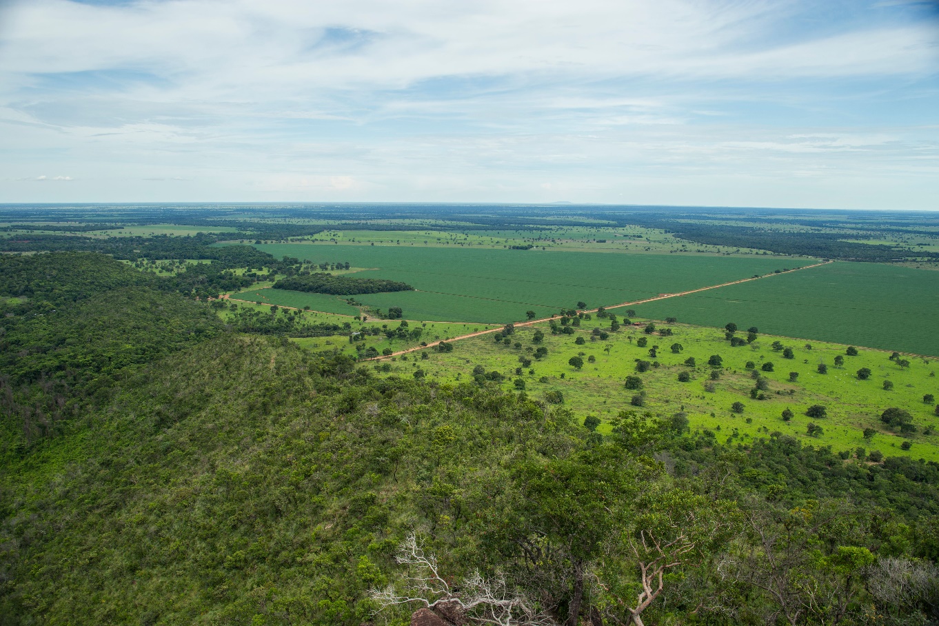 Farming in the Cerrado