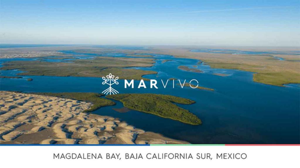 Magdalena Bay, Baja California Sur, Mexico