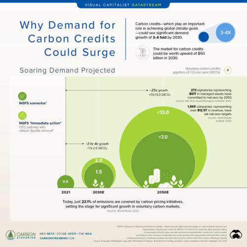 Why the Demand Outlook for Carbon Credits Is Bright